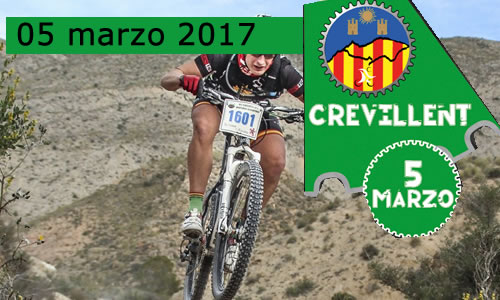 CIRCUITO